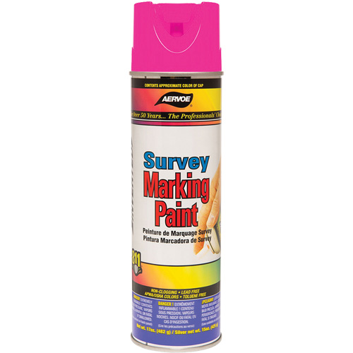 Solvent-Based Marking Paint, 17 oz., Aerosol Can Air Extreme Inc.