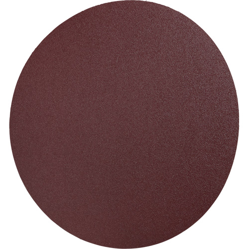 Disque en toile PSA 248D, 12" dia., Grain 36, Oxyde d'aluminium Air Extreme Inc.