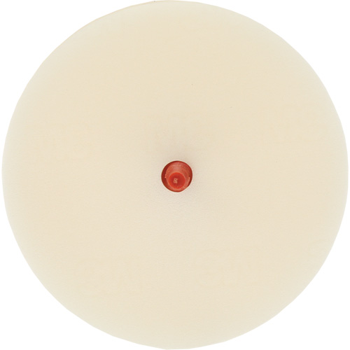 Disque pour enlever les bandes et les adh&eacute;sifs pour moulures Scotch-Brite, 4" dia. Air Extreme Inc.