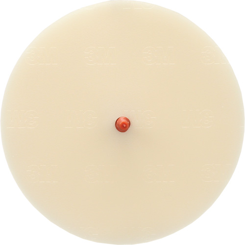 Disque Scotch-Brite 7502 pour retrait de colle et de bandes de moulage, 6" dia. Air Extreme Inc.