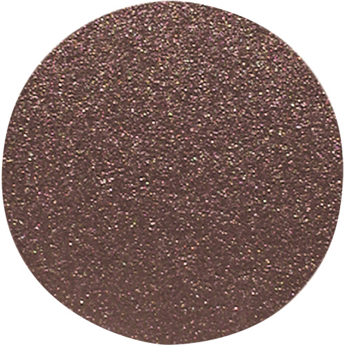Disque de ponçage pour le bois, 12" dia., Grain 120 Air Extreme Inc.
