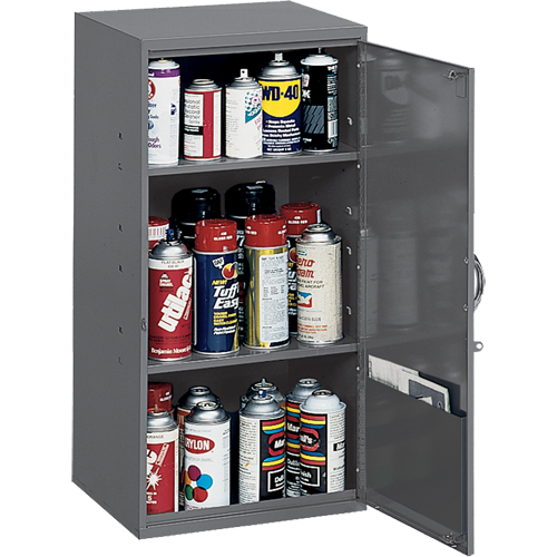 Utility Cabinet, Steel, 2 Shelves, 32-3/4" H x 19-7/8" W x 14-1/4" D, Grey Air Extreme Inc.