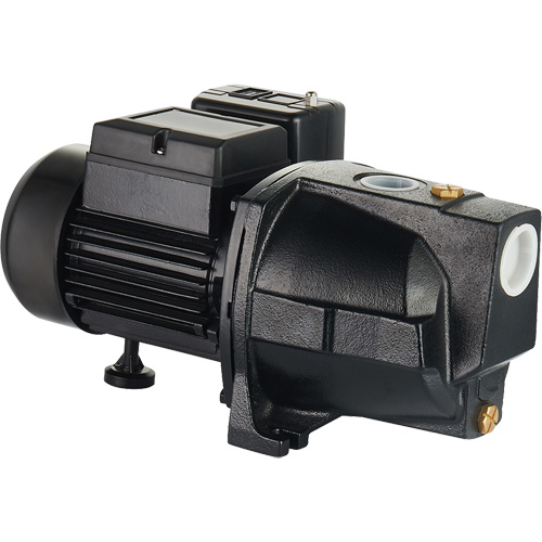 Dual Voltage Cast Iron Shallow Well Jet Pump, 115 V/230 V, 1100 GPH, 1 HP Air Extreme Inc.