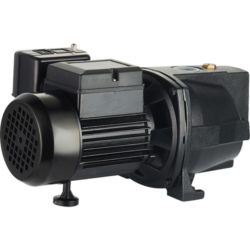 Dual Voltage Cast Iron Shallow Well Jet Pump, 115 V/230 V, 1100 GPH, 1 HP Air Extreme Inc.