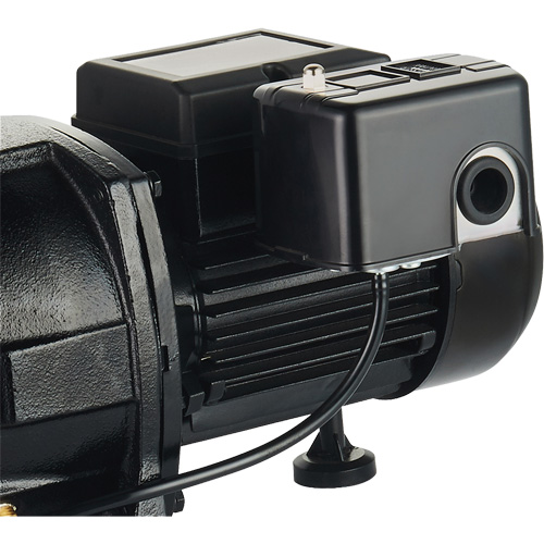 Dual Voltage Cast Iron Shallow Well Jet Pump, 115 V/230 V, 1100 GPH, 1 HP Air Extreme Inc.