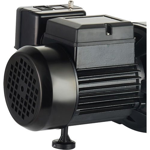 Dual Voltage Cast Iron Shallow Well Jet Pump, 115 V/230 V, 1100 GPH, 1 HP Air Extreme Inc.