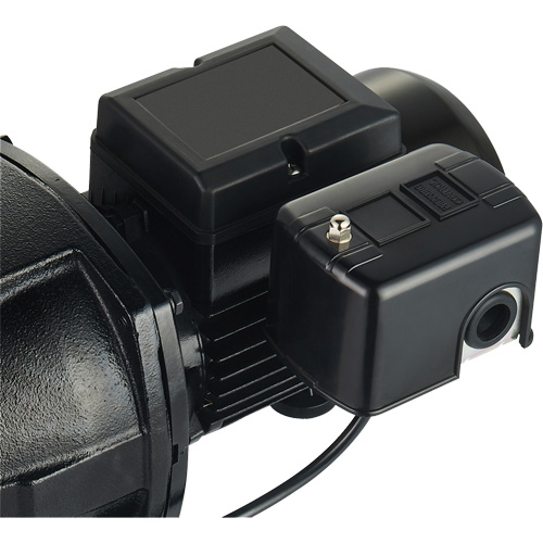 Dual Voltage Cast Iron Shallow Well Jet Pump, 115 V/230 V, 1100 GPH, 1 HP Air Extreme Inc.