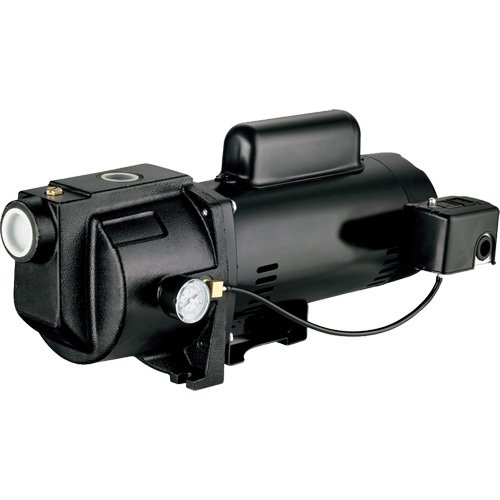 Pompe &agrave; jet en fonte &agrave; double tension pour puit peu profond, 115 V/230 V, 1260 gal./h, 1 CV Air Extreme Inc.