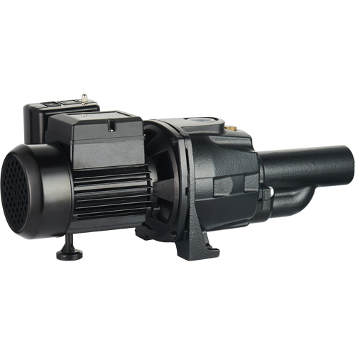 Dual Voltage Cast Iron Convertible Jet Pump, 115 V/230 V, 1100 GPH, 1/2 HP Air Extreme Inc.