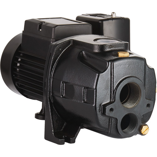 Dual Voltage Cast Iron Convertible Jet Pump, 115 V/230 V, 1100 GPH, 1/2 HP Air Extreme Inc.