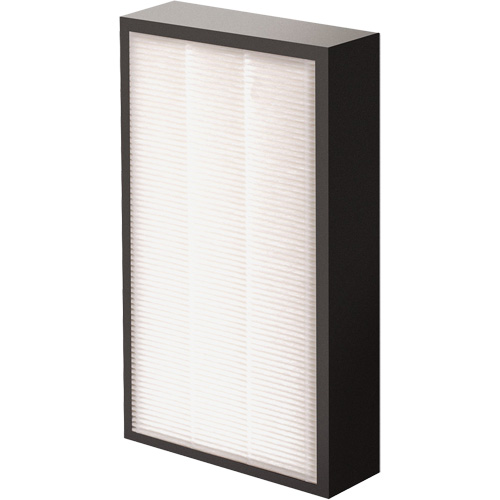 AeraMax&reg; Pro AM2 1-3/4" True HEPA Filter, Box, 7.38" W x 1.88" D x 12.88" H Air Extreme Inc.