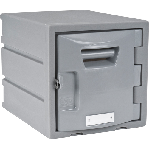 Locker, 12" x 15" x 12", Grey, Assembled Air Extreme Inc.