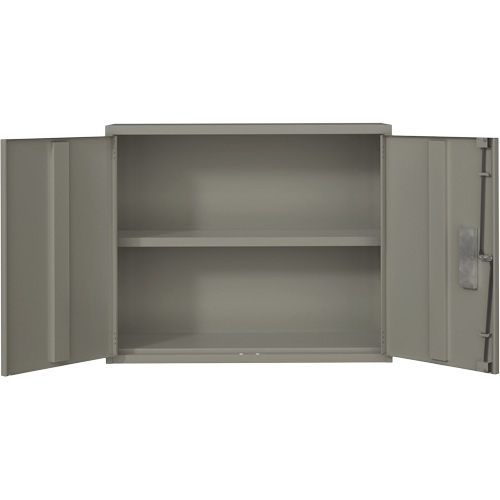 Wall Mounted Cabinet, Steel, 2 Shelves, 30" H x 36" W x 12" D, Grey Air Extreme Inc.