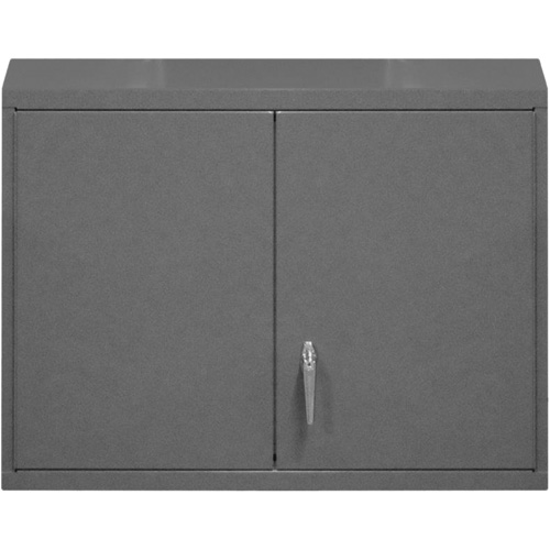 Wall-Mounted Cabinet, 27" H x 29-7/8" W x 13-11/16" D, 2 Shelves, Steel, Grey Air Extreme Inc.