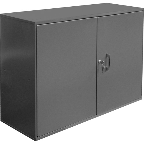 Armoire pour accessoires abrasifs, Acier, 2 tiroirs, 33-3/4" x 11-7/8" x 23-7/8", Gris Air Extreme Inc.