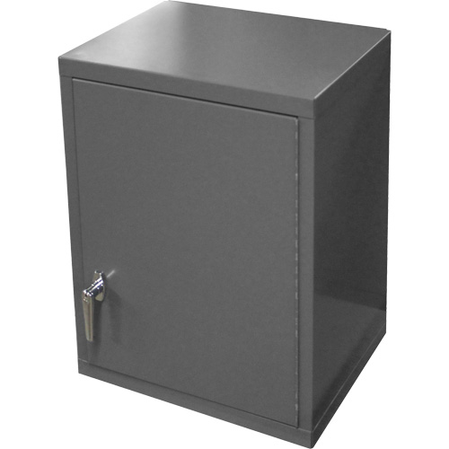 Wall-Mounted Cabinet, 27" H x 13-11/16" W x 18" D, 2 Shelves, Steel, Grey Air Extreme Inc.