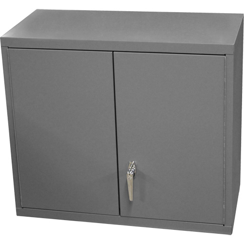 Wall-Mounted Cabinet, 27" H x 13-11/16" W x 35-7/8" D, 2 Shelves, Steel, Grey Air Extreme Inc.
