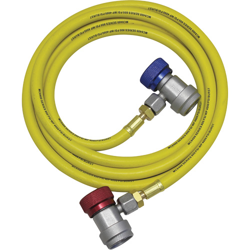 R134a A/C System Flush Hose Assembly Air Extreme Inc.