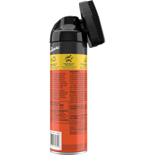 Carpet & Upholstery Cleaner Air Extreme Inc.