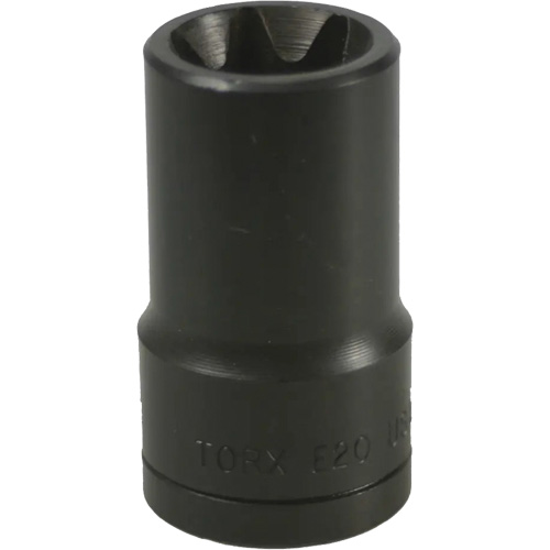 E-20 Torx&reg; Socket Air Extreme Inc.