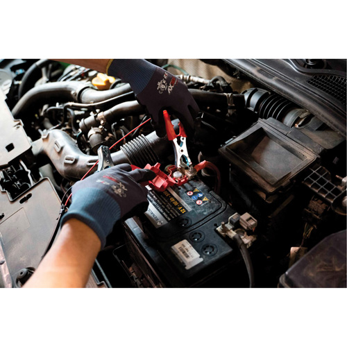 Tall Frame Brake-Pro Pressure Brake Bleeder with Adapters Air Extreme Inc.
