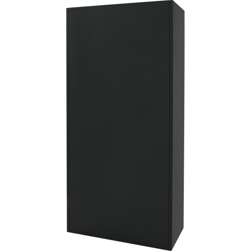 Hi-Boy Storage Cabinet, Steel, 4 Shelves, 72" H x 36" W x 18" D, Black Air Extreme Inc.