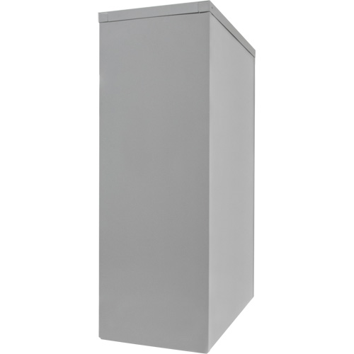 Armoire de rangement &agrave; hauteur de comptoir, Acier, 2 Tablettes, 42" h x 36" la x 24" P, Gris Air Extreme Inc.