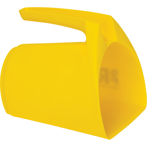 Salt & Sand Scoop Air Extreme Inc.