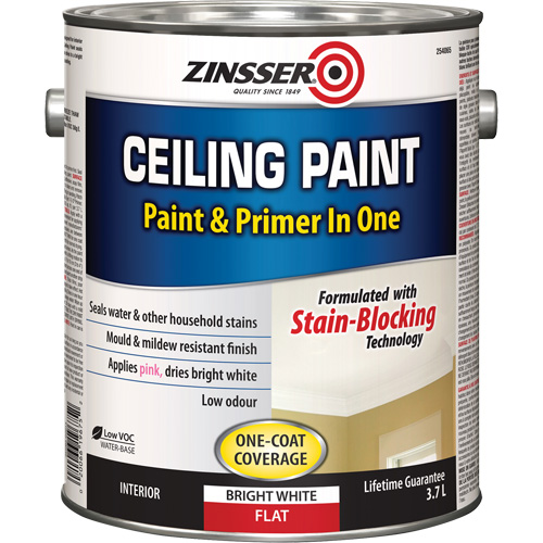 Ceiling Paint & Primer in One, White, Very Flat, 3.78 L, Gallon Air Extreme Inc.
