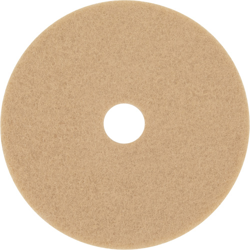 Trizact Diamond TZ Abrasive Strip, 20", Burnishing, Beige Air Extreme Inc.