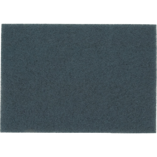 Tampon pour planchers, 14" x 20", Nettoyage/&agrave; r&eacute;curer, Bleu Air Extreme Inc.