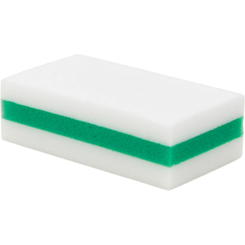 &eacute;ponge de nettoyage eXpunge Plus, &agrave; r&eacute;curer, 3-3/8" la x 6-1/4" l Air Extreme Inc.