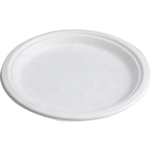 Assiettes compostables Air Extreme Inc.