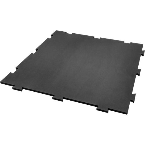 Plancher pour centre d'entraînement &agrave; la maison Voyager Air Extreme Inc.