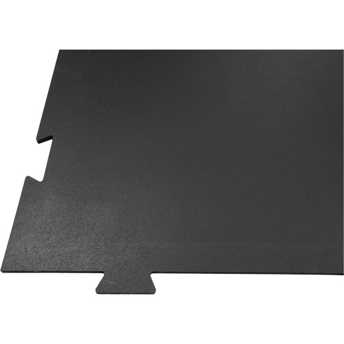 Plancher pour centre d'entraînement &agrave; la maison Voyager Air Extreme Inc.