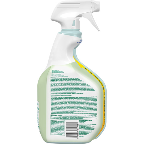 CloroxPro Clorox EcoClean Disinfecting Cleaner, 946 ml, Trigger Bottle Air Extreme Inc.