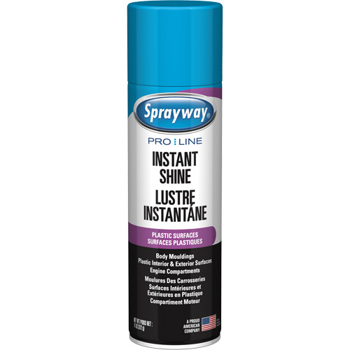 Brillant instantan&eacute; Pro Line pour surfaces en plastique, 11 oz, Canette a&eacute;rosol Air Extreme Inc.