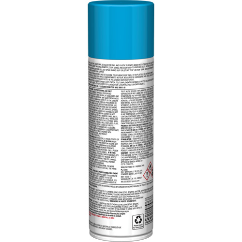 Brillant instantan&eacute; Pro Line pour surfaces en plastique, 11 oz, Canette a&eacute;rosol Air Extreme Inc.