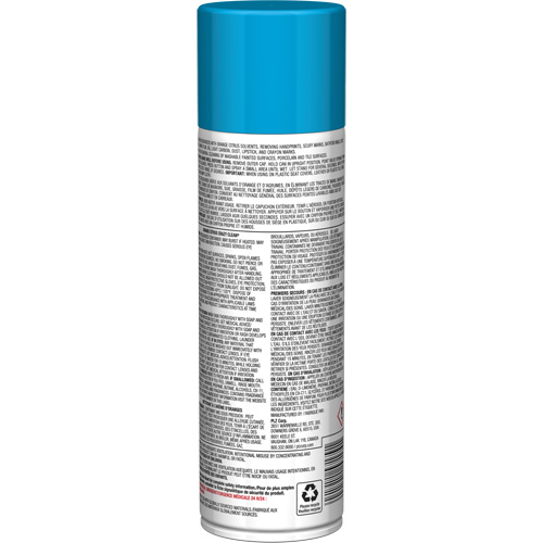 Pro Line Crazy Clean&reg; All Purpose Cleaner, 19 oz., Aerosol Can Air Extreme Inc.