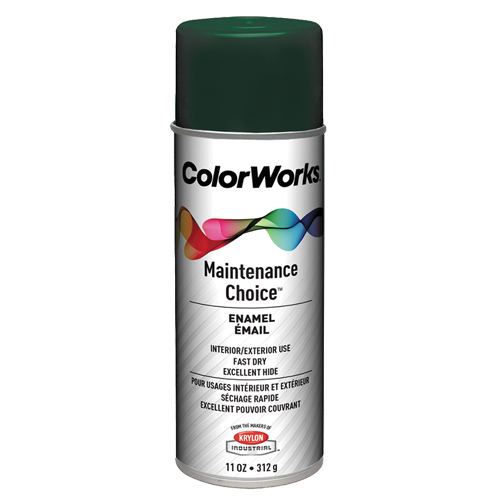 &eacute;mail Maintenance Choice, Vert chasseur, Brillant, 10 oz, Canette a&eacute;rosol Air Extreme Inc.