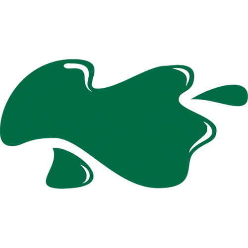 &eacute;mail Maintenance Choice, Vert chasseur, Brillant, 10 oz, Canette a&eacute;rosol Air Extreme Inc.