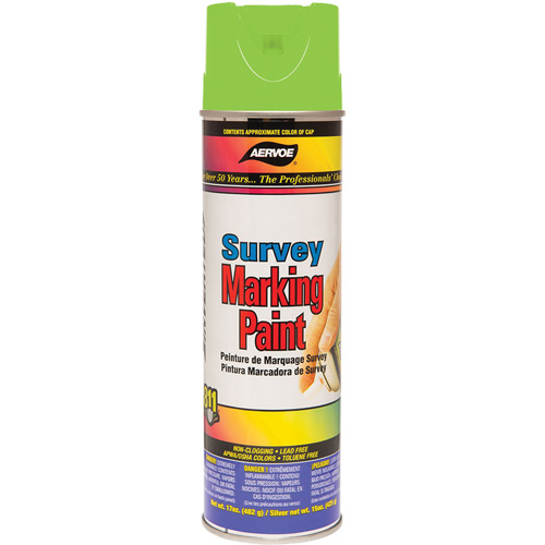 All-Purpose Marking Paint, 17 oz., Aerosol Can Air Extreme Inc.