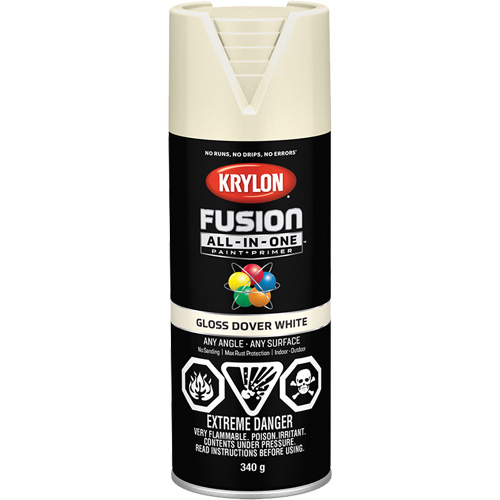 Fusion All-In-One Spray Paint, Dover White, Gloss, 12 oz., Aerosol Can Air Extreme Inc.