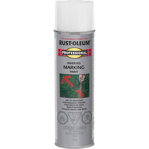 Peinture de marquage renvers&eacute; en a&eacute;rosol, 426 g, Canette a&eacute;rosol Air Extreme Inc.