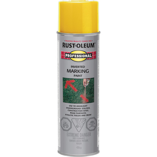 Peinture de marquage renvers&eacute; en a&eacute;rosol, 426 g, Canette a&eacute;rosol Air Extreme Inc.