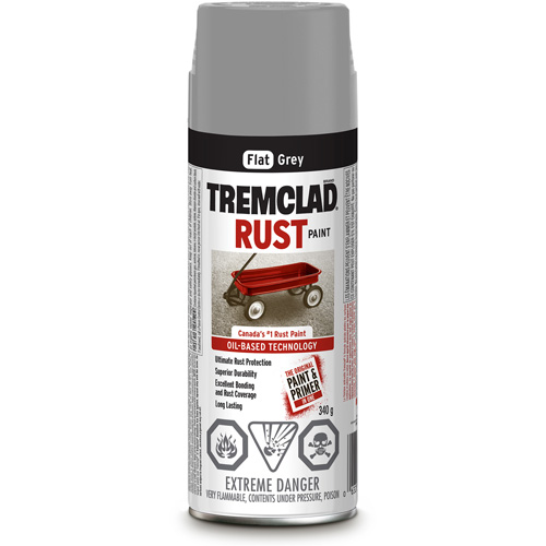 Peinture antirouille &agrave; base dhuile Tremclad, Gris, Tr&egrave;s mat, Canette a&eacute;rosol Air Extreme Inc.