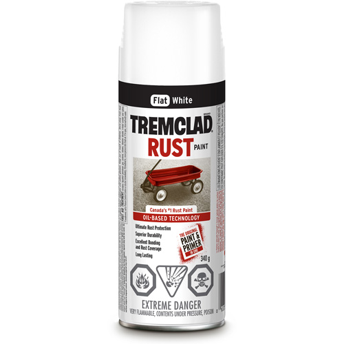 Peinture antirouille &agrave; base dhuile Tremclad, Blanc, Tr&egrave;s mat, Canette a&eacute;rosol Air Extreme Inc.