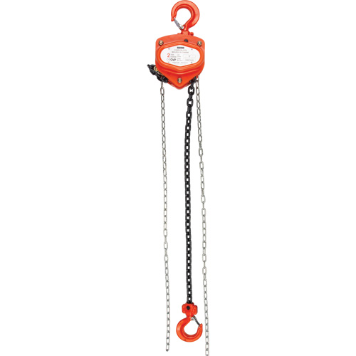 Chain Hoist, 10' Lift, 4000 lbs. (2 tons) Capacity, Alloy Steel Chain Air Extreme Inc.