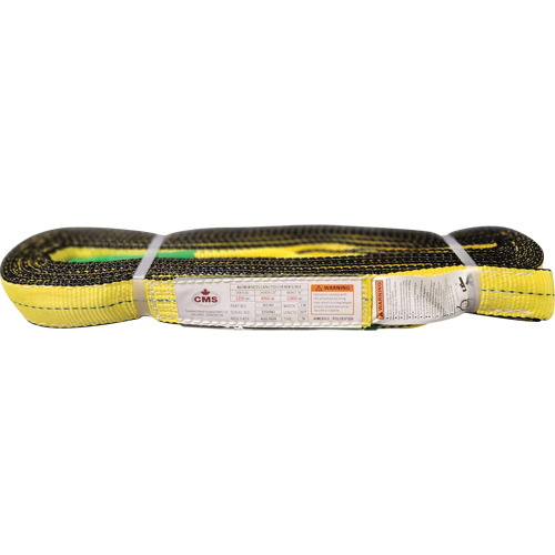 Polyester Web Sling, Double Ply, Twisted Eye, Type 4, 2" W x 20' L, 6400 lbs. Vertical Cap. Air Extreme Inc.