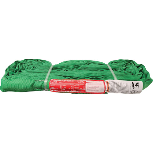 &eacute;lingue ronde en polyester, Vert, 12' lo, 6000 lb Charge verticale Air Extreme Inc.
